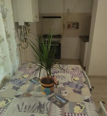 Smile On The Apartment *